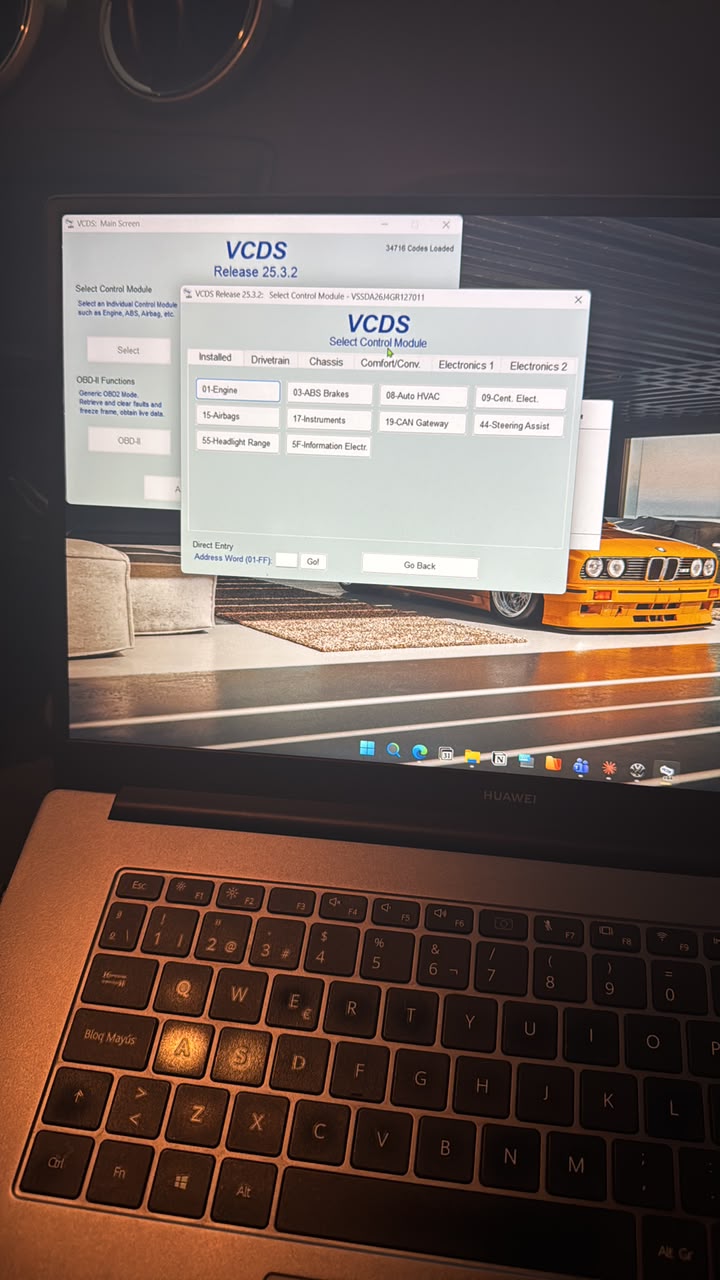 VCDS · Grupo VAG